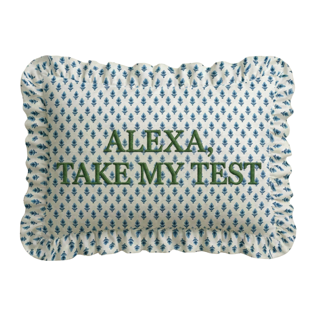 Decorative pillow with 'ALEXA, TAKE MY TEST' text on a patterned background