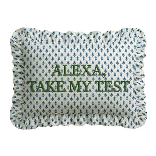 Decorative pillow with 'ALEXA, TAKE MY TEST' text on a patterned background
